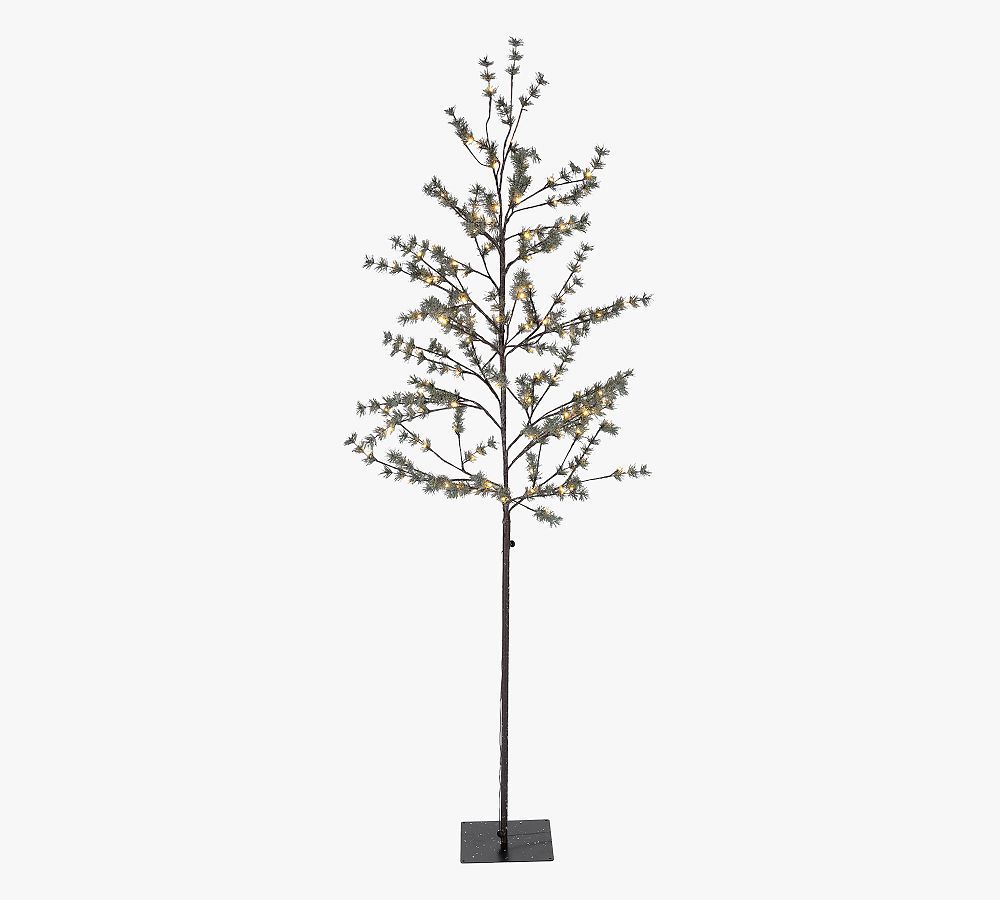 Lit Icy Pine Tree