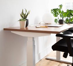 Branch Standing Desk (48&quot; - 60&quot;)