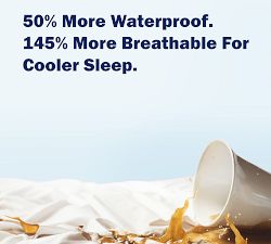 Cleanrest&#174; Presto Platinum Mattress Encasement Encasement