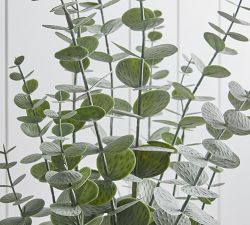 Faux Potted Eucalyptus Plants, Set of 2