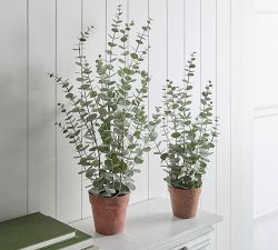 Faux Potted Eucalyptus Plants, Set of 2