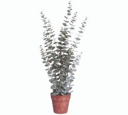 Faux Potted Eucalyptus Plants, Set of 2