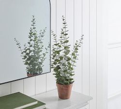 Faux Potted Eucalyptus Plants, Set of 2