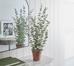 Faux Potted Eucalyptus Plants, Set of 2