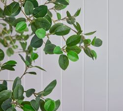 Faux Potted Moclame Ficus with Shapeable Trunk, 8'