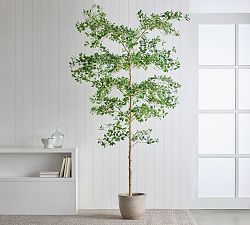 Faux Potted Moclame Ficus with Shapeable Trunk, 8'
