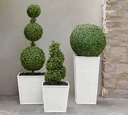 Faux Boxwood Spheres