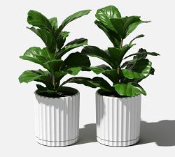 Modern Eco Cachepots - Set of 2