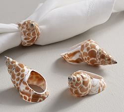 Babylon Shell Napkin Rings, Set of 4
