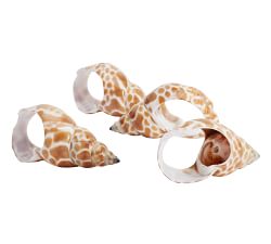 Babylon Shell Napkin Rings, Set of 4