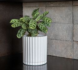Modern Eco Cachepots - Set of 2