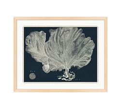 Sea Plant On Navy Framed Print
