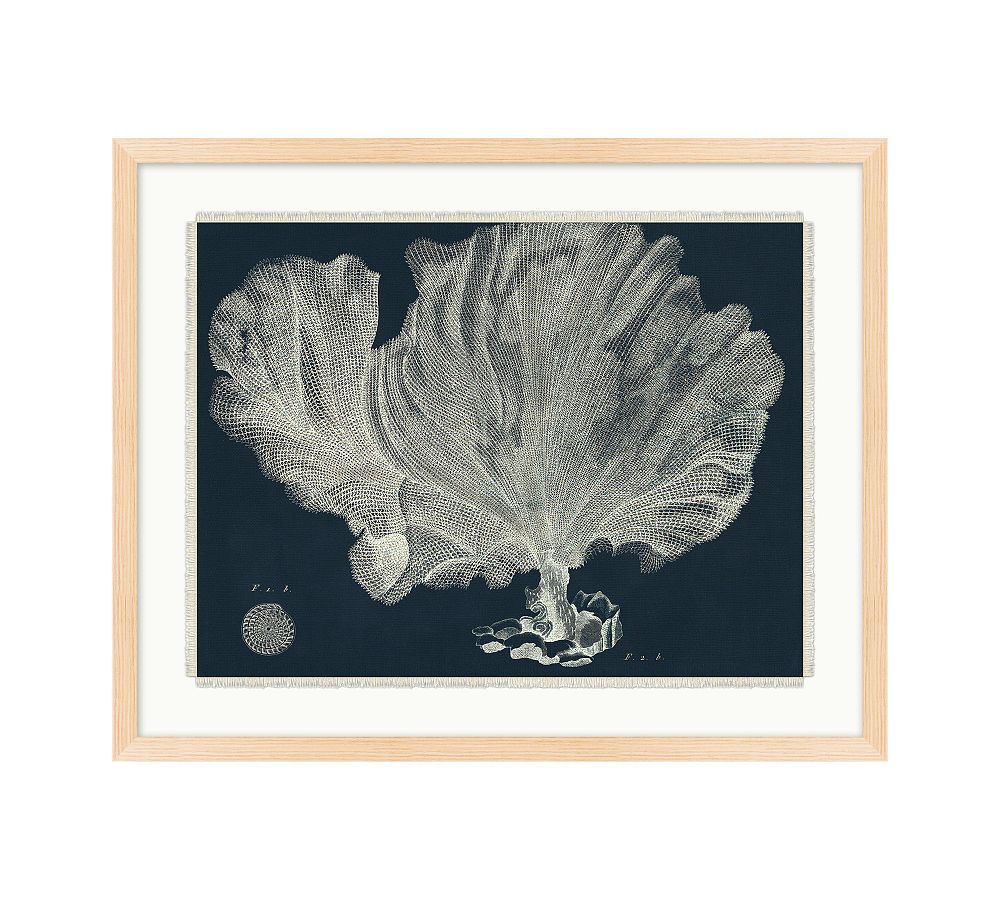 Sea Plant On Navy Framed Print