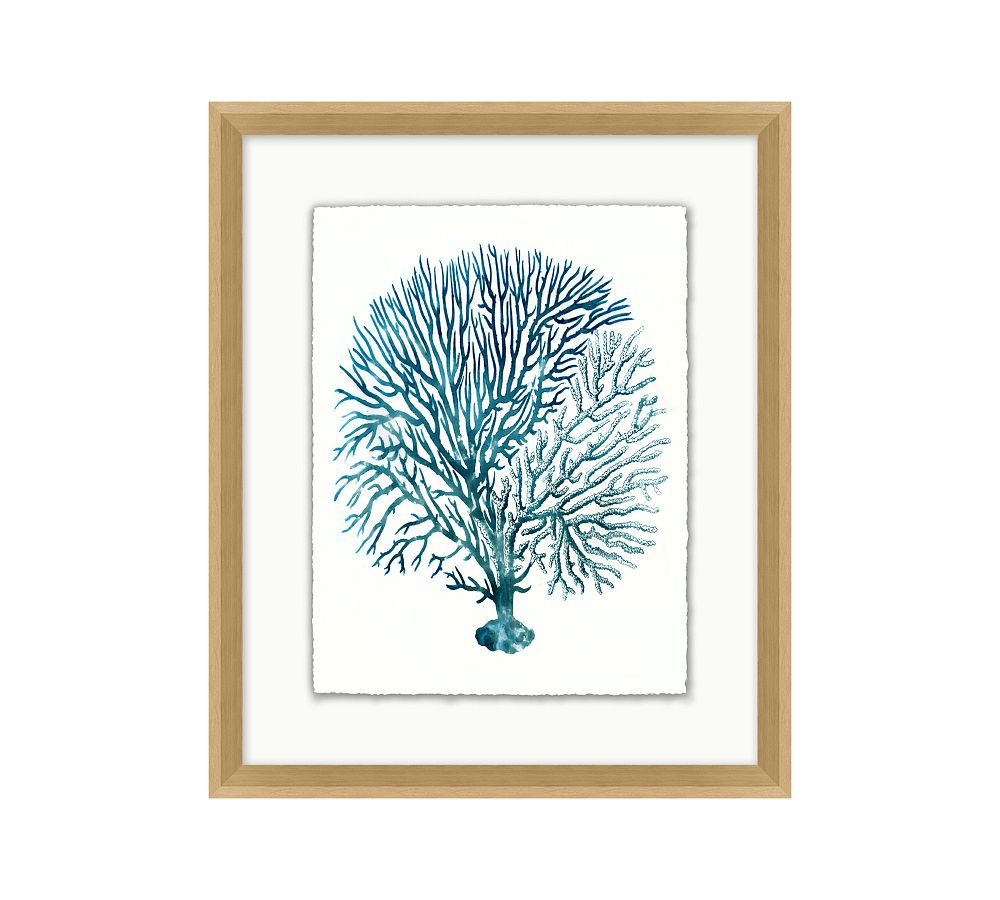 Teal Sea Fan Framed Print