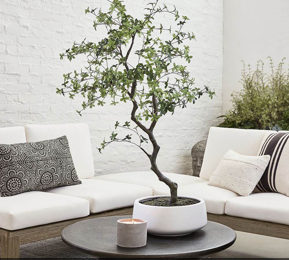 Faux Bonsai Tree in White Pot