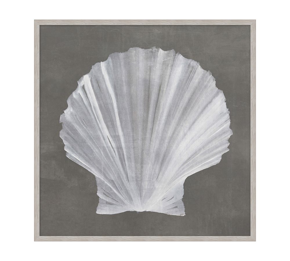 Sun Bleached Framed Print