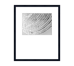 Detail of a Shell Framed Print