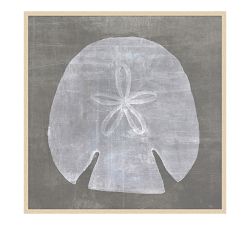 Sun Bleached Framed Print