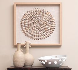 Tulip Shell Shadow Box Wall Art