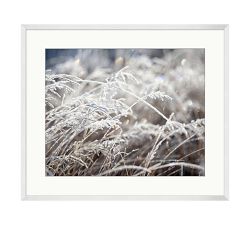 Winter Crystals by Meg Haywood Sullivan
