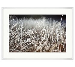 Winter Crystals by Meg Haywood Sullivan