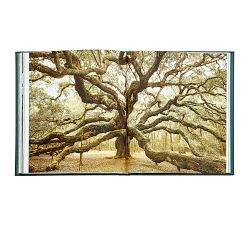 The Hidden Life of Trees Leather-Bound Book