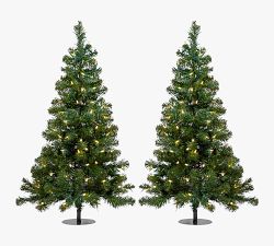 Outdoor Lit Warm LED Faux Winchester Fir Walkway Trees - Set of 2
