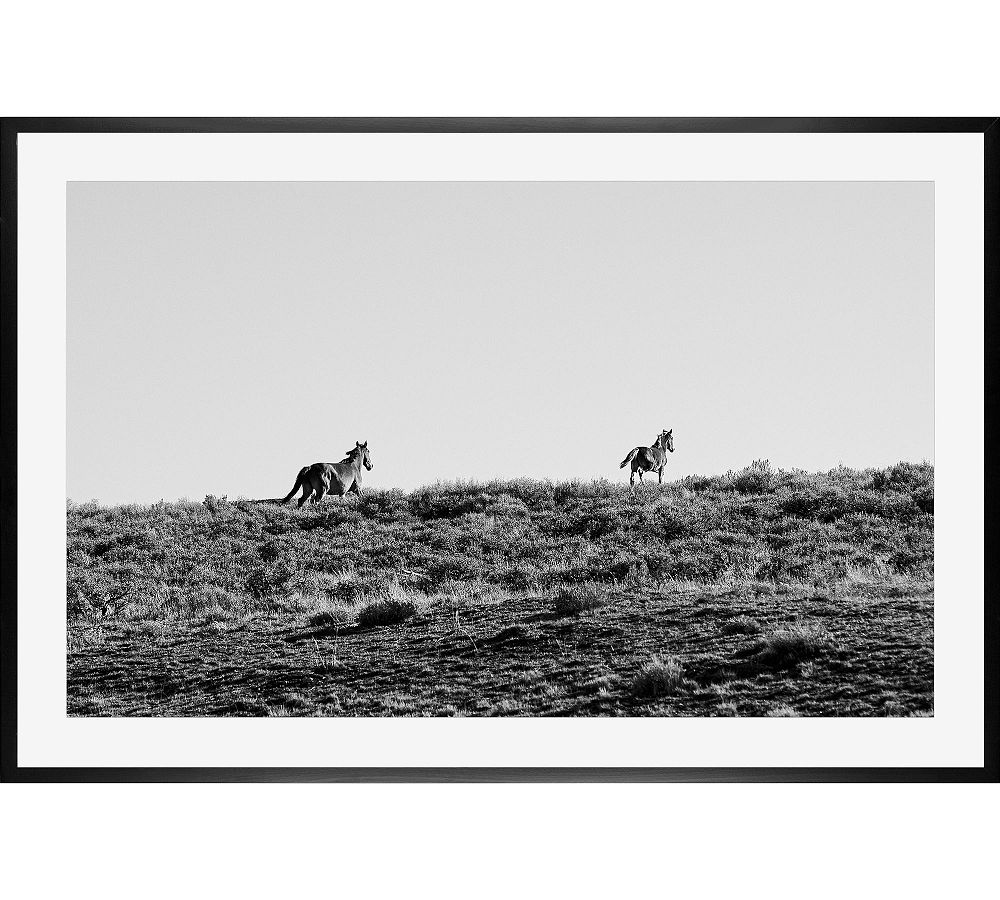 Wild Horses On The Move by Jennifer Meyers
