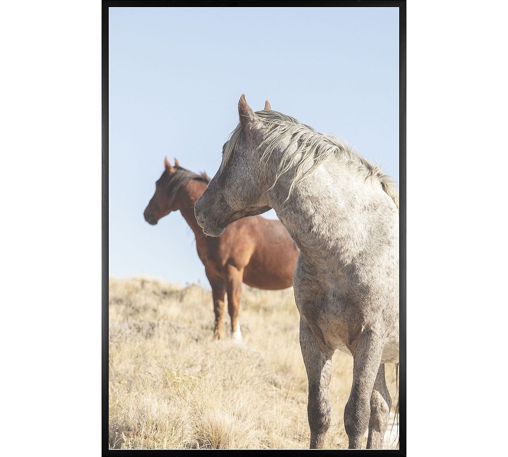 Attentive Horses by Jennifer Meyers