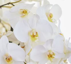 Faux Orchid in Rose Trellis Bowl