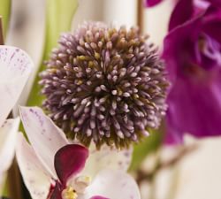 Faux Phalaenopsis &amp; Orchid Mixed Arrangement
