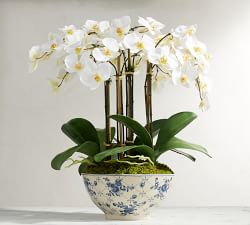 Faux Orchid in Rose Trellis Bowl