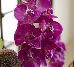Faux Phalaenopsis &amp; Orchid Mixed Arrangement