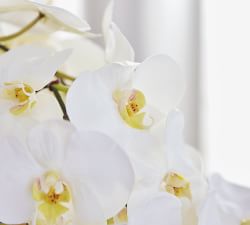 Faux Orchid in Rose Trellis Bowl