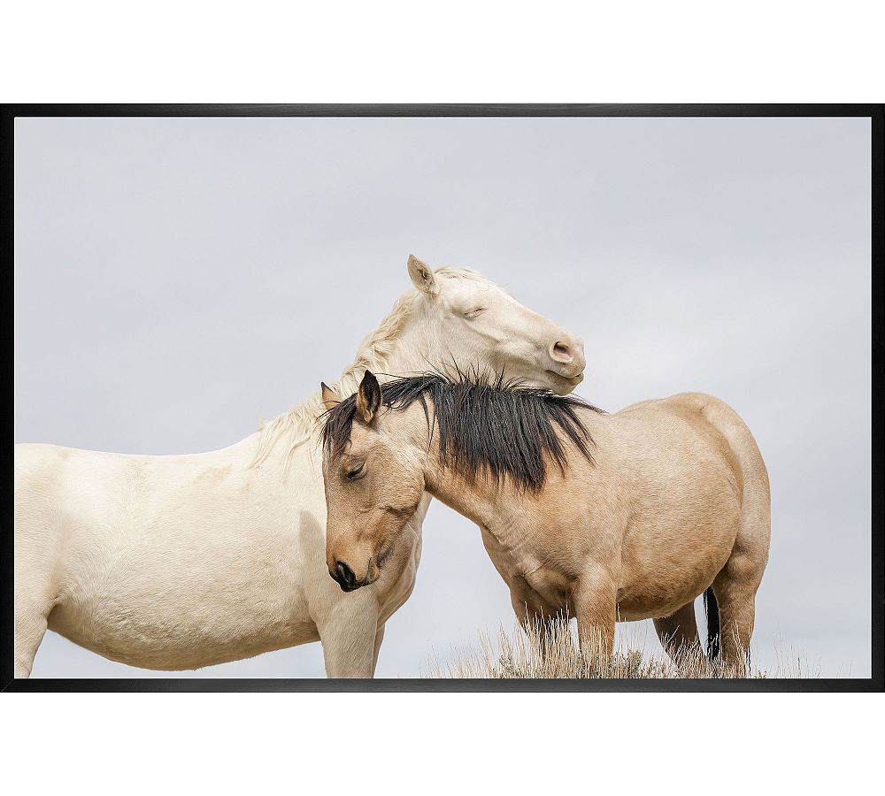 A Mother's Comfort, Wild Horses by Jennifer Meyers