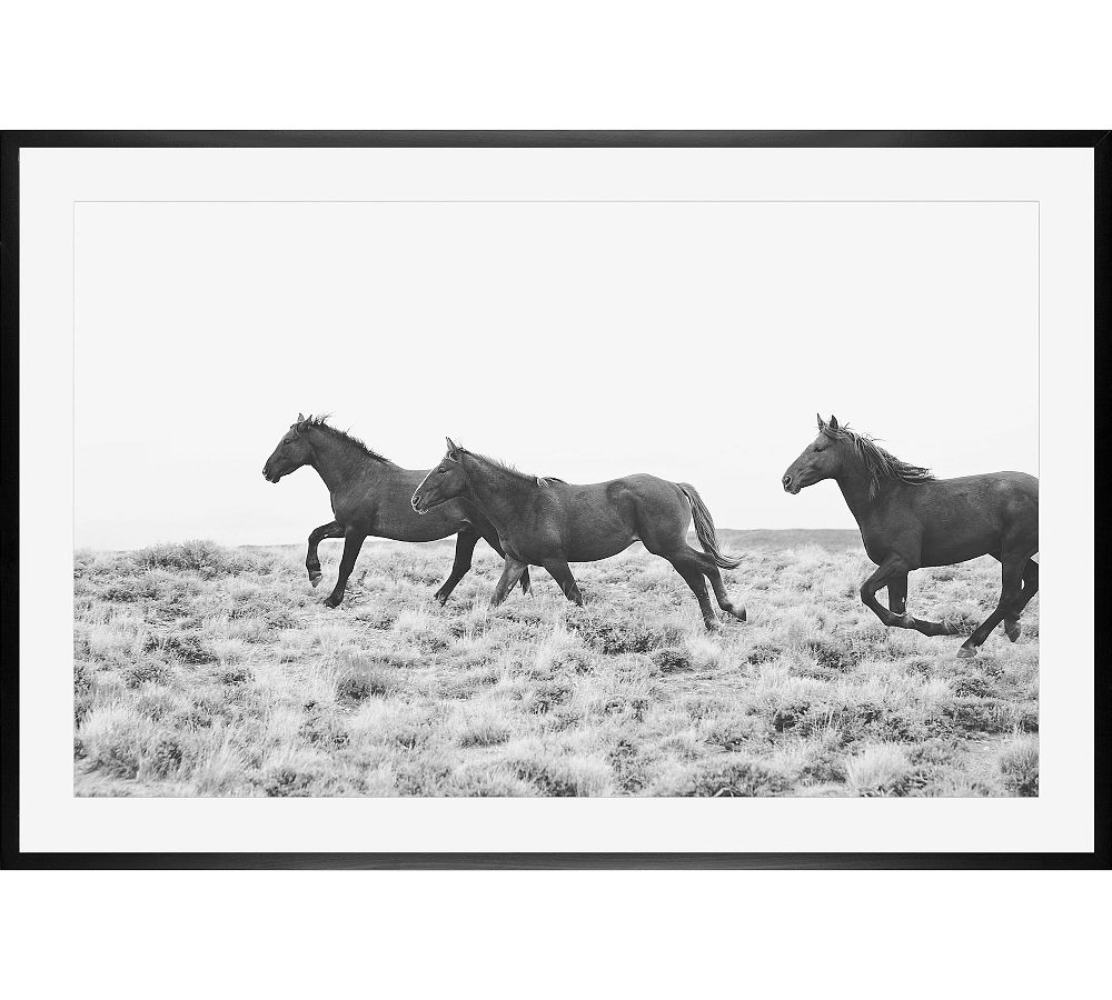 American Wild Horses by Jennifer Meyers (42”x28” in black)