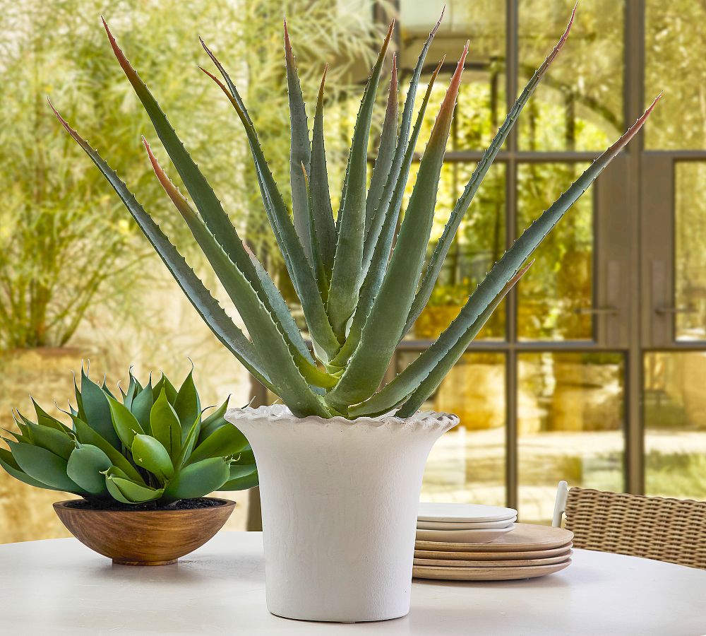 Faux Spike Aloe Plant