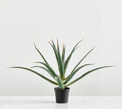 Faux Spike Aloe Plant