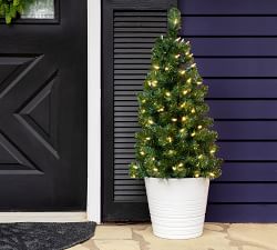Outdoor Lit Warm LED Faux Winchester Fir Walkway Trees - Set of 2