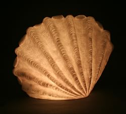 Decorative Lit Frosted Glass Sea Scallop