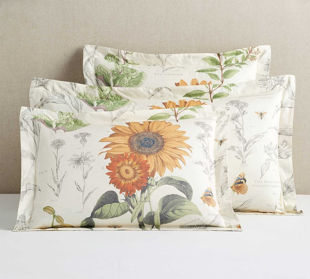 Cara Sunflower Organic Sham