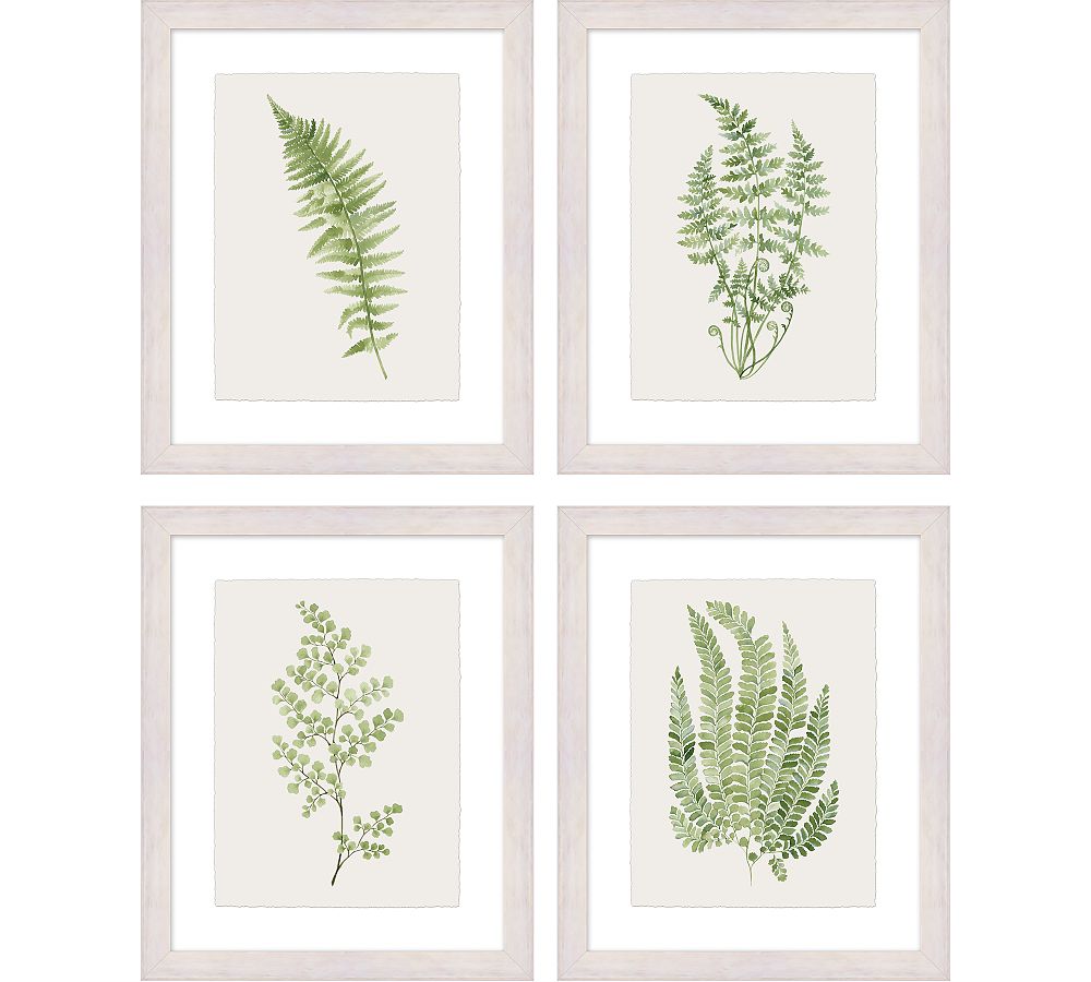 Green Fern Framed Print
