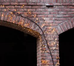 Lit Wall Climbing Vine