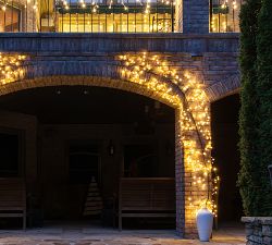 Lit Wall Climbing Vine