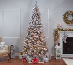 Lit Flocked Boise Pine Faux Christmas Trees