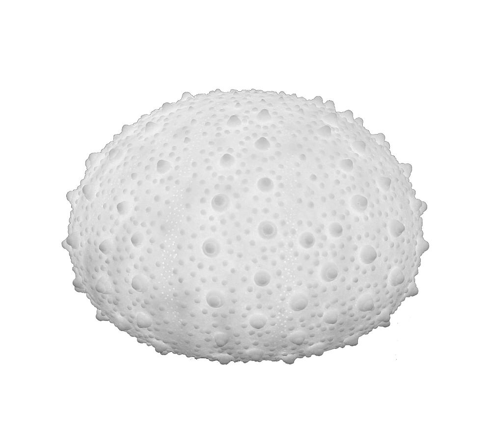 Decorative Lit Frosted Glass Sea Urchin