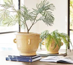 Altman Cachepots