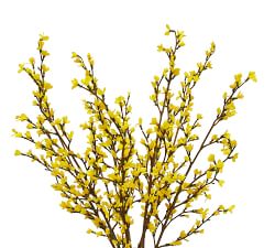 Faux Yellow Forsythia Branches Composed Arrangement