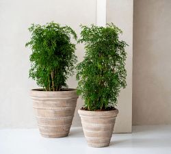 Eclectic Mariana Planters