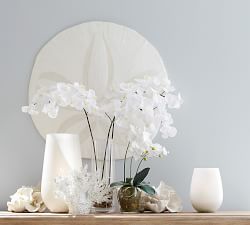 Oversized Sand Dollar